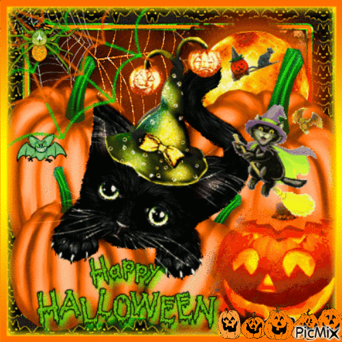Witch Cat - Free animated GIF
