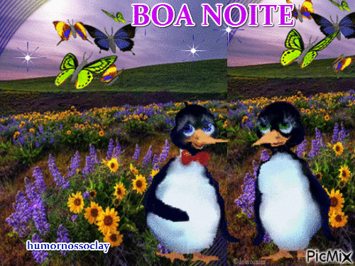BOA NOITE - Бесплатни анимирани ГИФ