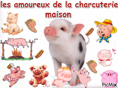 cochon - GIF animado gratis