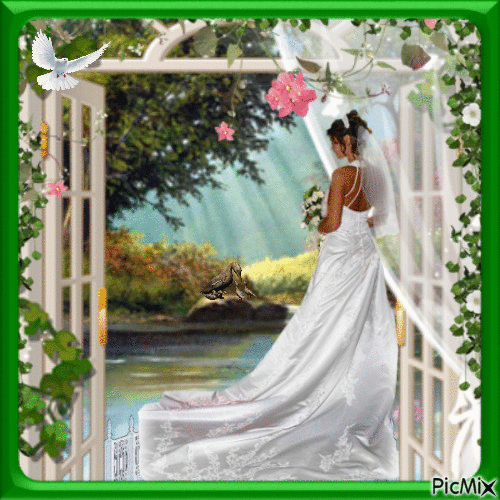Bride in waiting. - Zdarma animovaný GIF