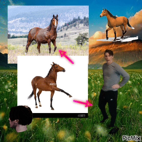 jerma horse fursona - Darmowy animowany GIF