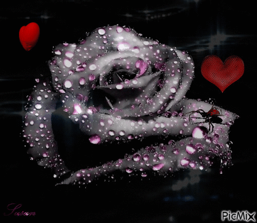 rosa - Zdarma animovaný GIF