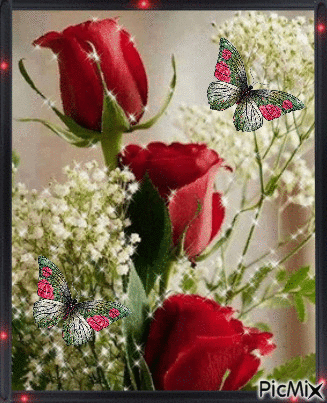 Red Roses 4. - Free animated GIF