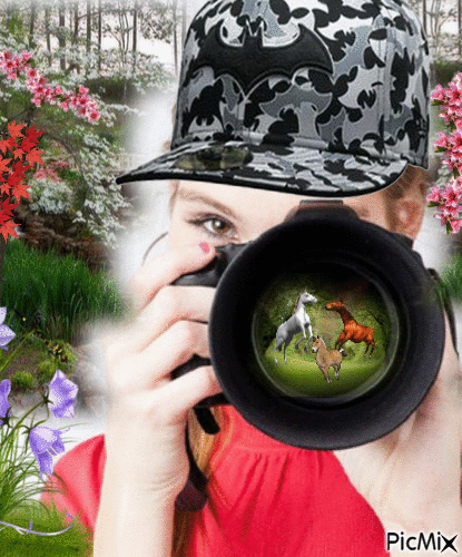 Photographe animalière. - Animovaný GIF zadarmo