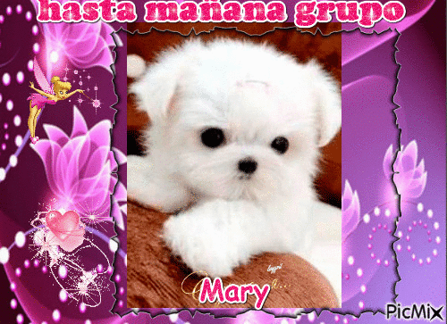 Mary - Gratis geanimeerde GIF
