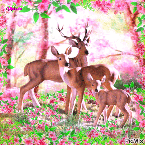 Deer in the wild - Gratis animerad GIF