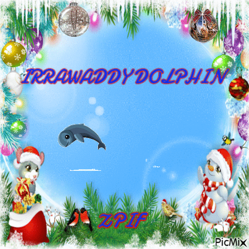 Irrawaddy dolphin - 無料のアニメーション GIF