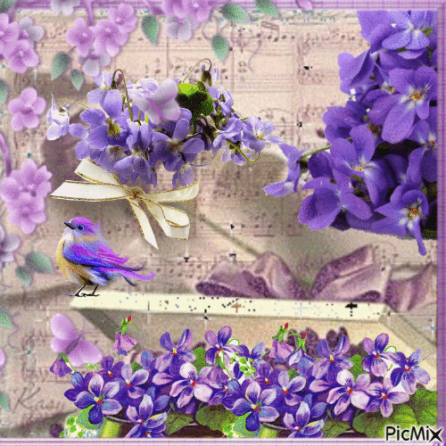 Violettes - Free animated GIF