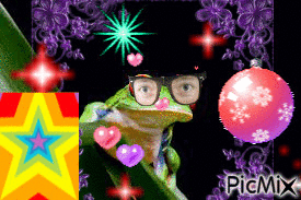la grenouille bizarre - GIF animé gratuit