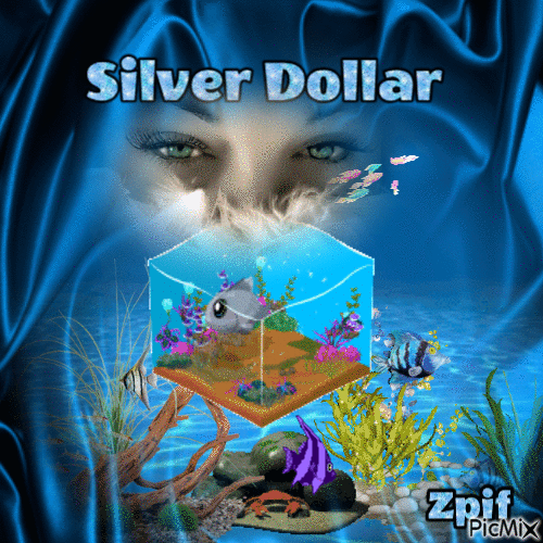 Silver Dollar - Free animated GIF