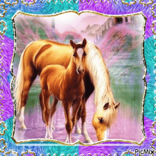 chevaux - Δωρεάν κινούμενο GIF
