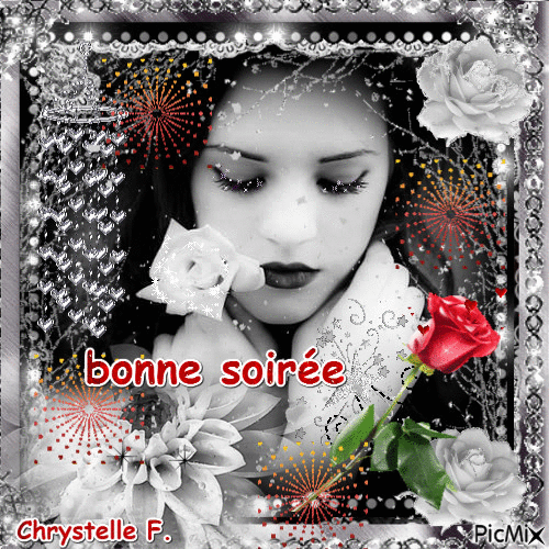 BONNE SOIREE - Gratis animeret GIF