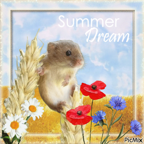 Summer Dream - GIF animé gratuit