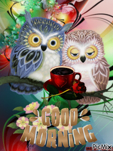 GOOD MORNING OWL - 免费动画 GIF