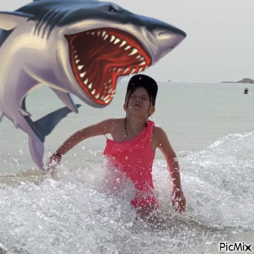 requin - zdarma png