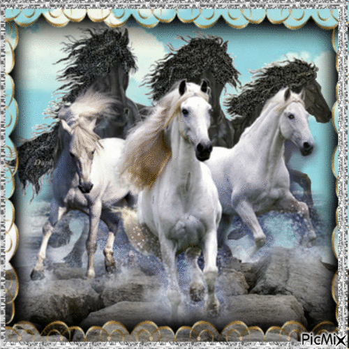 Wild Horses - GIF animé gratuit