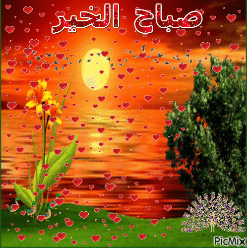 صباح الخير10 - Zdarma animovaný GIF