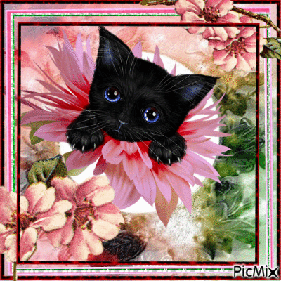 cat on a flower - GIF animado grátis