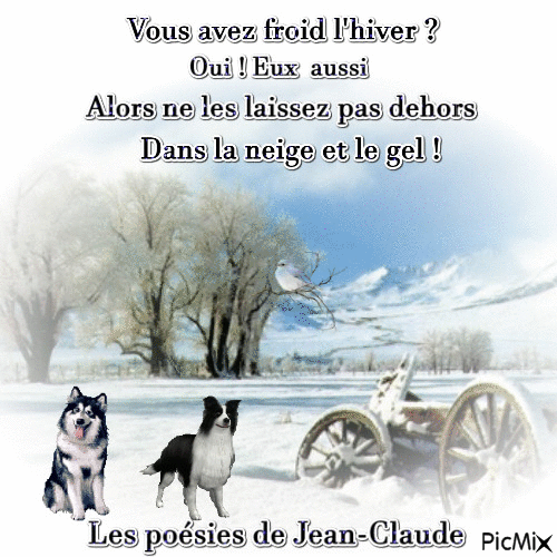 les animaux en hiver - Free animated GIF