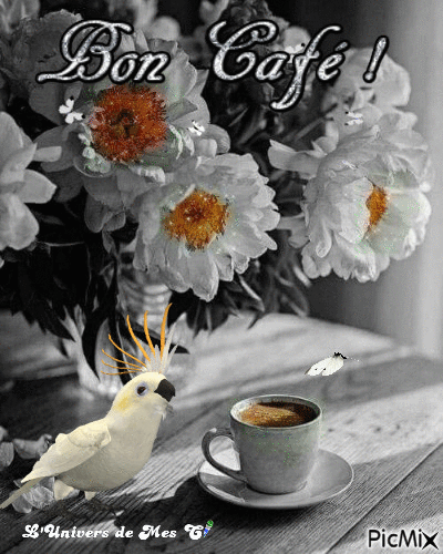 café - Безплатен анимиран GIF
