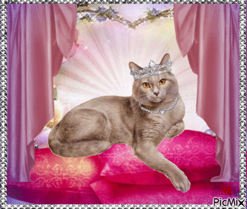 la reina gatita - 無料のアニメーション GIF
