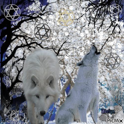 white winter wolf - Бесплатни анимирани ГИФ