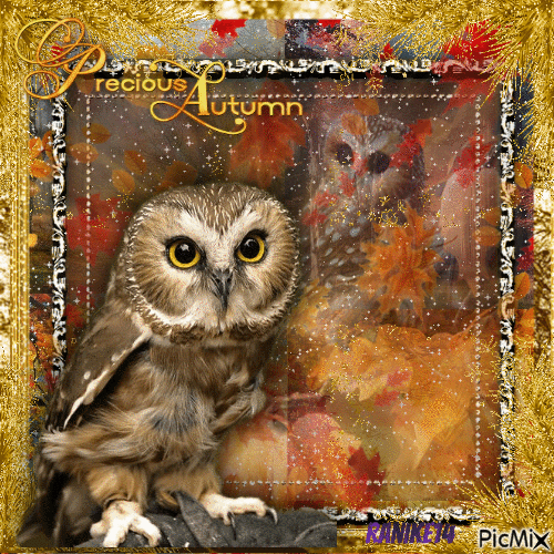 Autumn owl 🦉 ❤🍂 - GIF animado grátis