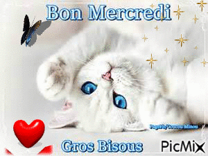 bon mercredi - Animovaný GIF zadarmo