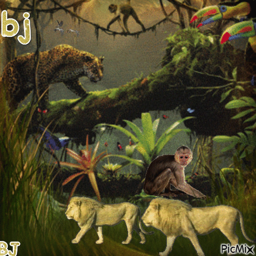 Jungle - 無料のアニメーション GIF