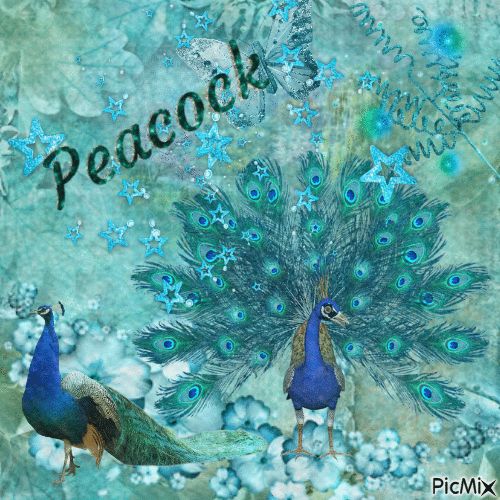 Peacock ♥ - GIF animate gratis