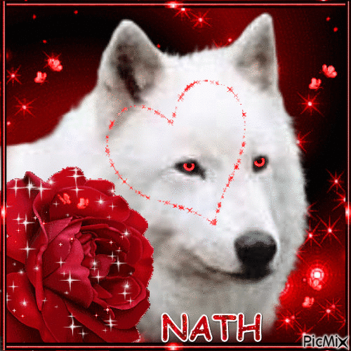 PUR BEAUTE 2 ROSE ROUGE ET LOUP - Free animated GIF