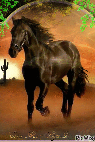 caballo(forever) - Gratis geanimeerde GIF