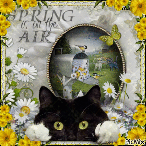 spring is in the air - Bezmaksas animēts GIF