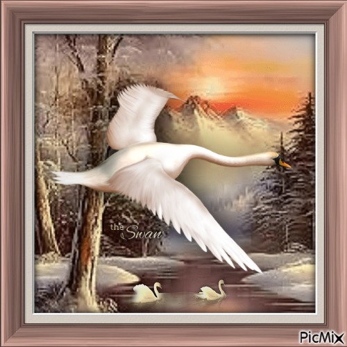 The Swan-RM-11-08-23 - Free PNG
