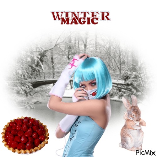 Winter Magic - darmowe png