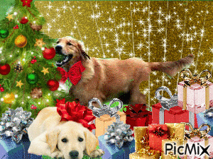 Christmas dog Golden Retriever - Ilmainen animoitu GIF