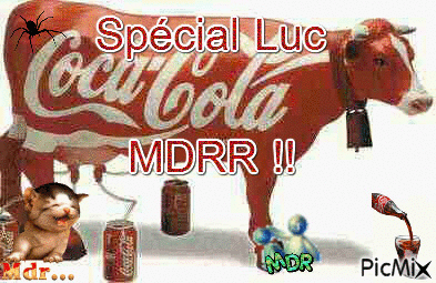 spécial Luc mdrrr !! - Darmowy animowany GIF