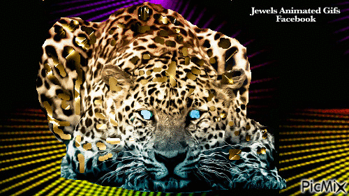 Jaguar - GIF animate gratis