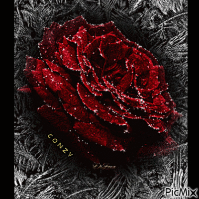 Rosa roja - GIF animate gratis