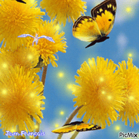 PAPILLONS - Free animated GIF