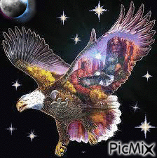 as the eagle flies - Darmowy animowany GIF