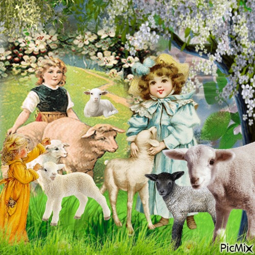 girls with sheep - png gratuito