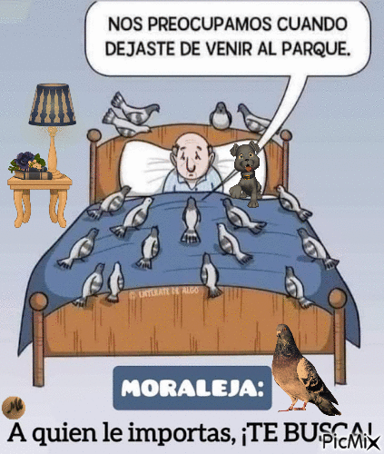 Moraleja - GIF เคลื่อนไหวฟรี