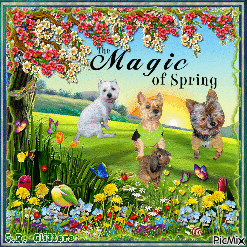 The Magic of Spring - Free animated GIF