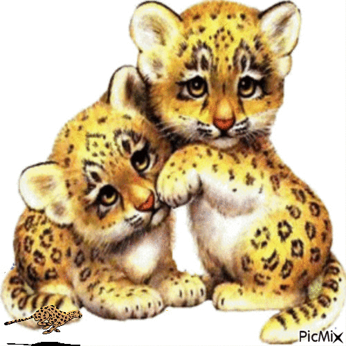 leopard - Gratis animeret GIF