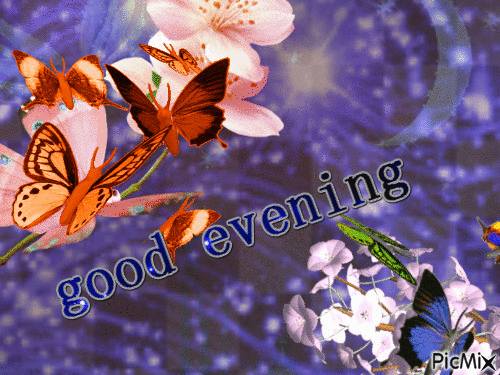 good evening - Безплатен анимиран GIF