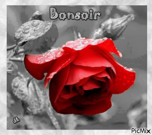 rose rouge - Безплатен анимиран GIF