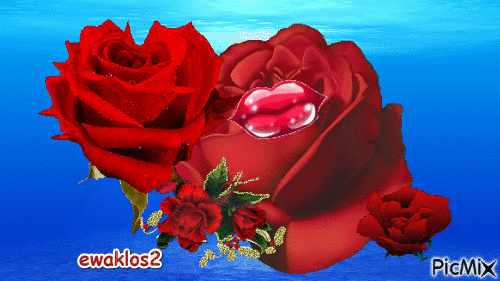 rozany buziak - Nemokamas animacinis gif