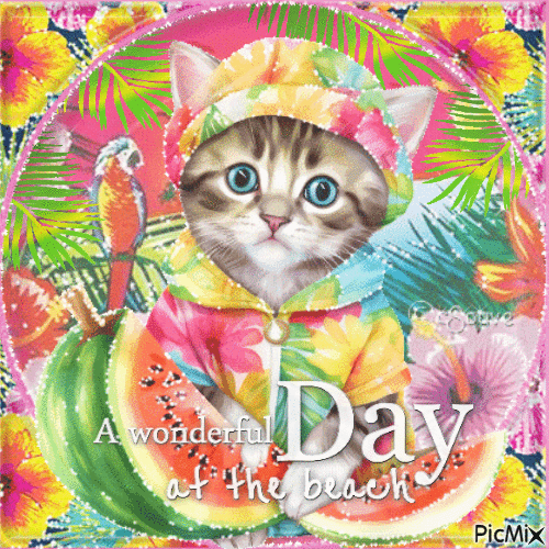 Soave cat summer animals - 無料のアニメーション GIF