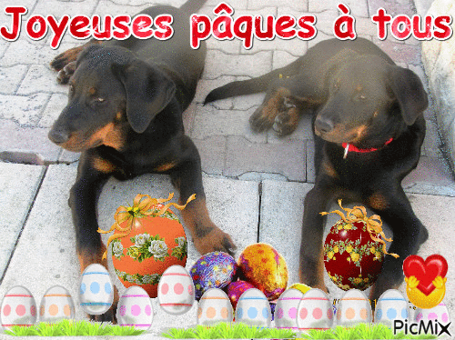 joyeuses pâques - Δωρεάν κινούμενο GIF